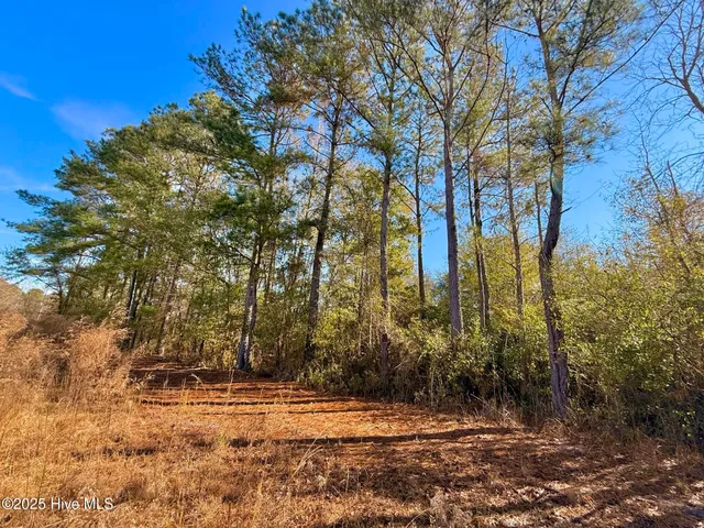 $100,000 | 861 Marietta Road, Fairmont, NC 28340