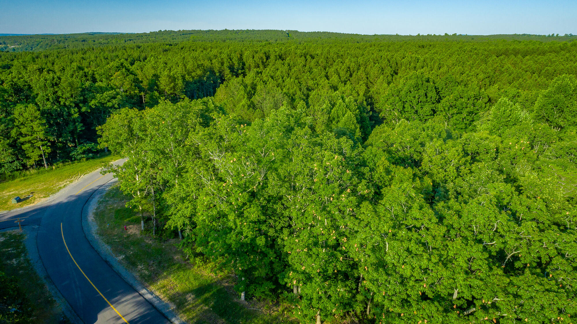 0 Moonlight Lane, Unit JF426 Jasper, TN 37347 - Photo 11 of 98 0 Moonlight Lane, Lot JF426 HD-10