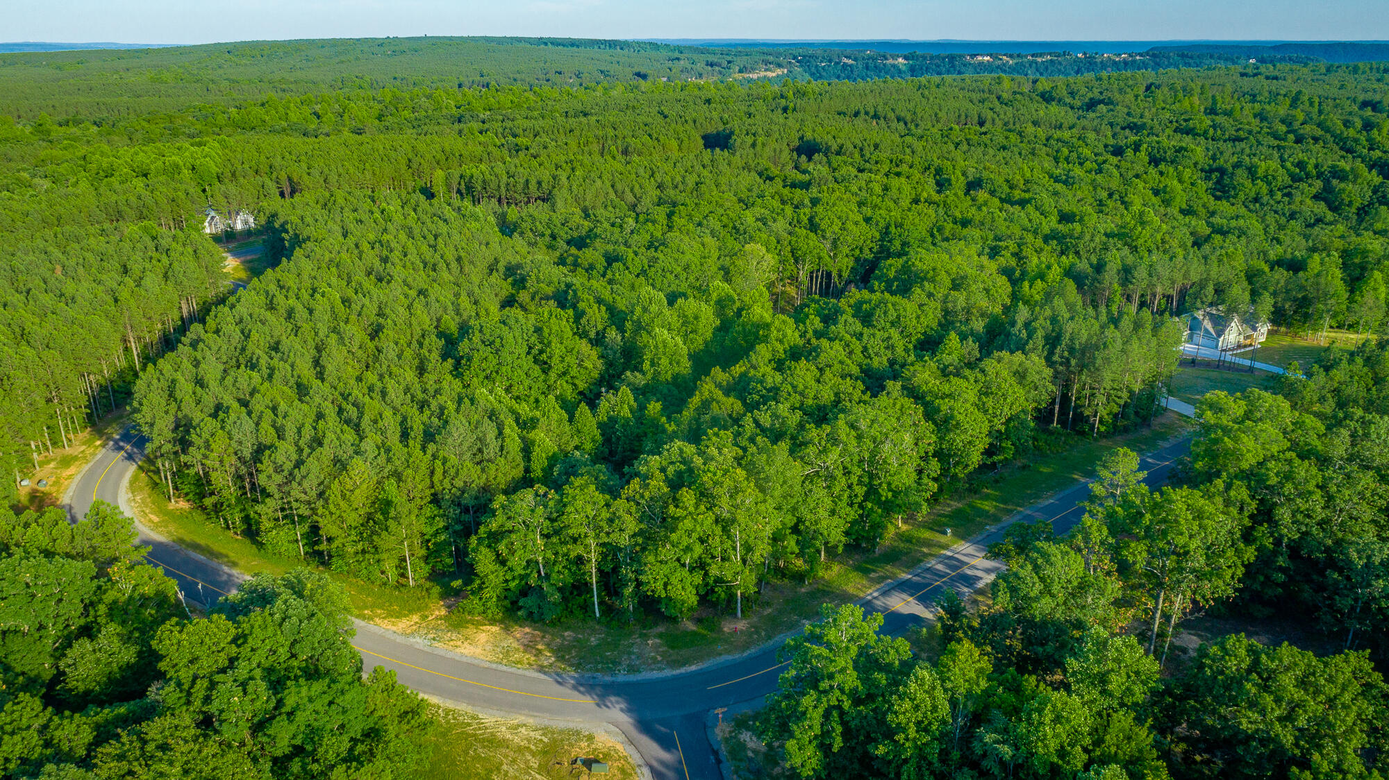 0 Moonlight Lane, Unit JF426 Jasper, TN 37347 - Photo 14 of 98 0 Moonlight Lane, Lot JF426 HD-13