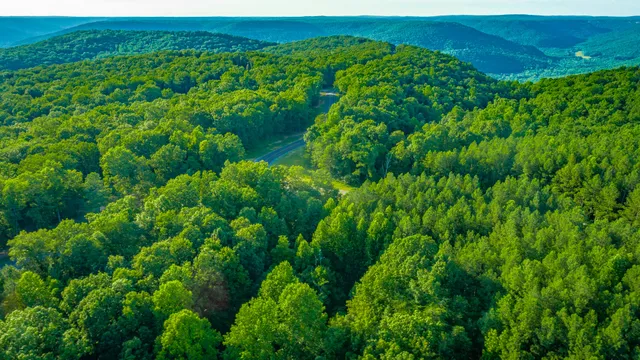 $85,000 | 0 Moonlight Lane, Unit JF426, Jasper, TN 37347