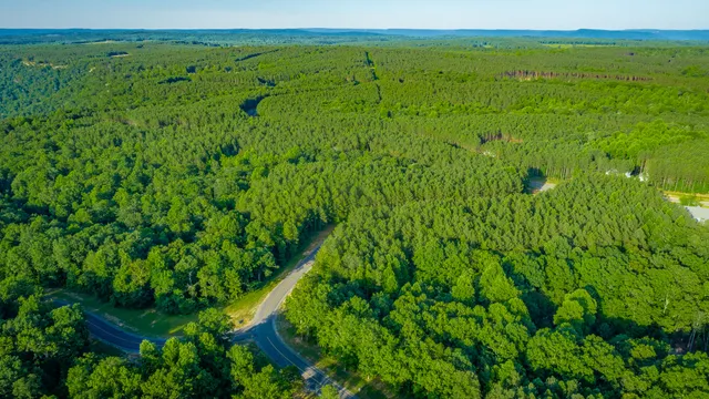 $85,000 | 0 Moonlight Lane, Unit JF426, Jasper, TN 37347