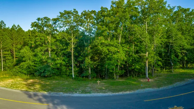 $85,000 | 0 Moonlight Lane, Unit JF426, Jasper, TN 37347