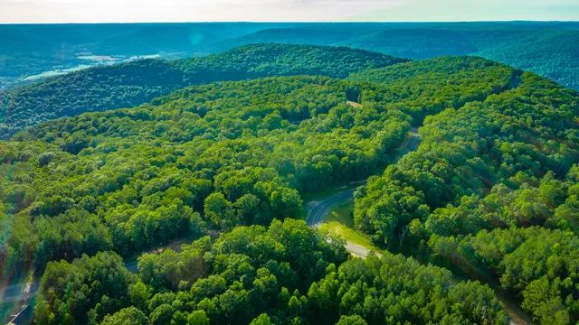 $85,000 | 0 Moonlight Lane, Unit JF426, Jasper, TN 37347