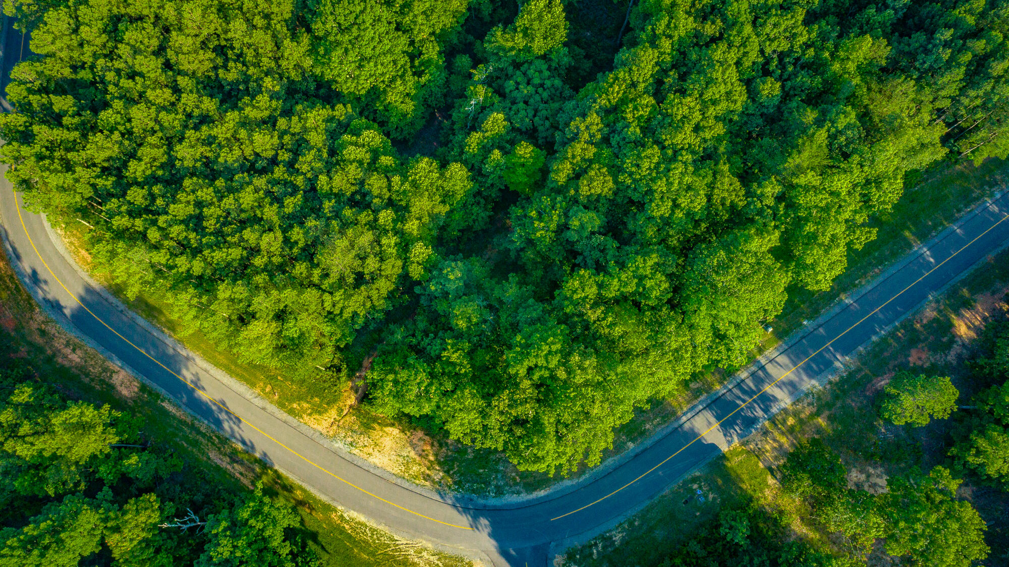 0 Moonlight Lane, Unit JF426 Jasper, TN 37347 - Photo 40 of 98 0 Moonlight Lane, Lot JF426 HD-39