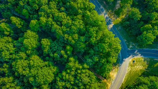 $85,000 | 0 Moonlight Lane, Unit JF426, Jasper, TN 37347