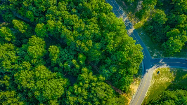 $85,000 | 0 Moonlight Lane, Unit JF426, Jasper, TN 37347