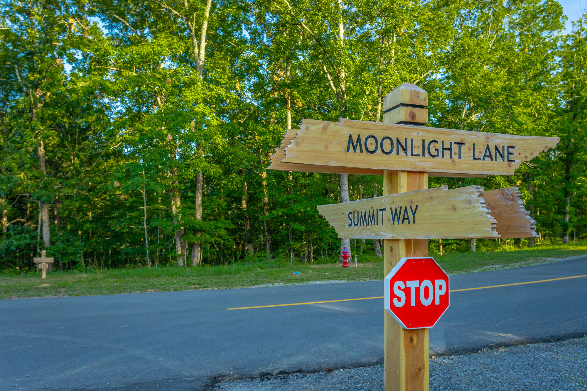 0 Moonlight Lane, Unit JF426 Jasper, TN 37347 - Photo 43 of 98 0 Moonlight Lane, Lot JF426 HD-42