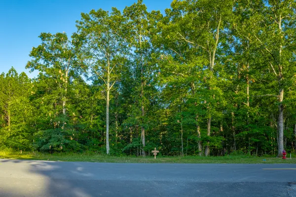 $85,000 | 0 Moonlight Lane, Unit JF426, Jasper, TN 37347