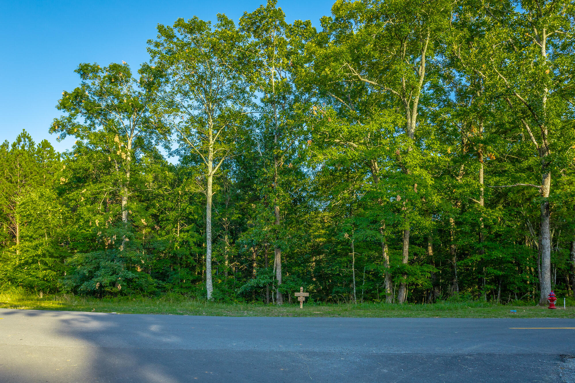 0 Moonlight Lane, Unit JF426 Jasper, TN 37347 - Photo 45 of 98 0 Moonlight Lane, Lot JF426 HD-44