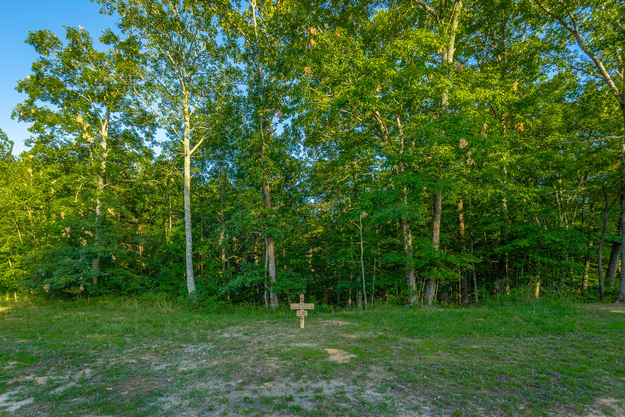 0 Moonlight Lane, Unit JF426 Jasper, TN 37347 - Photo 47 of 98 0 Moonlight Lane, Lot JF426 HD-46