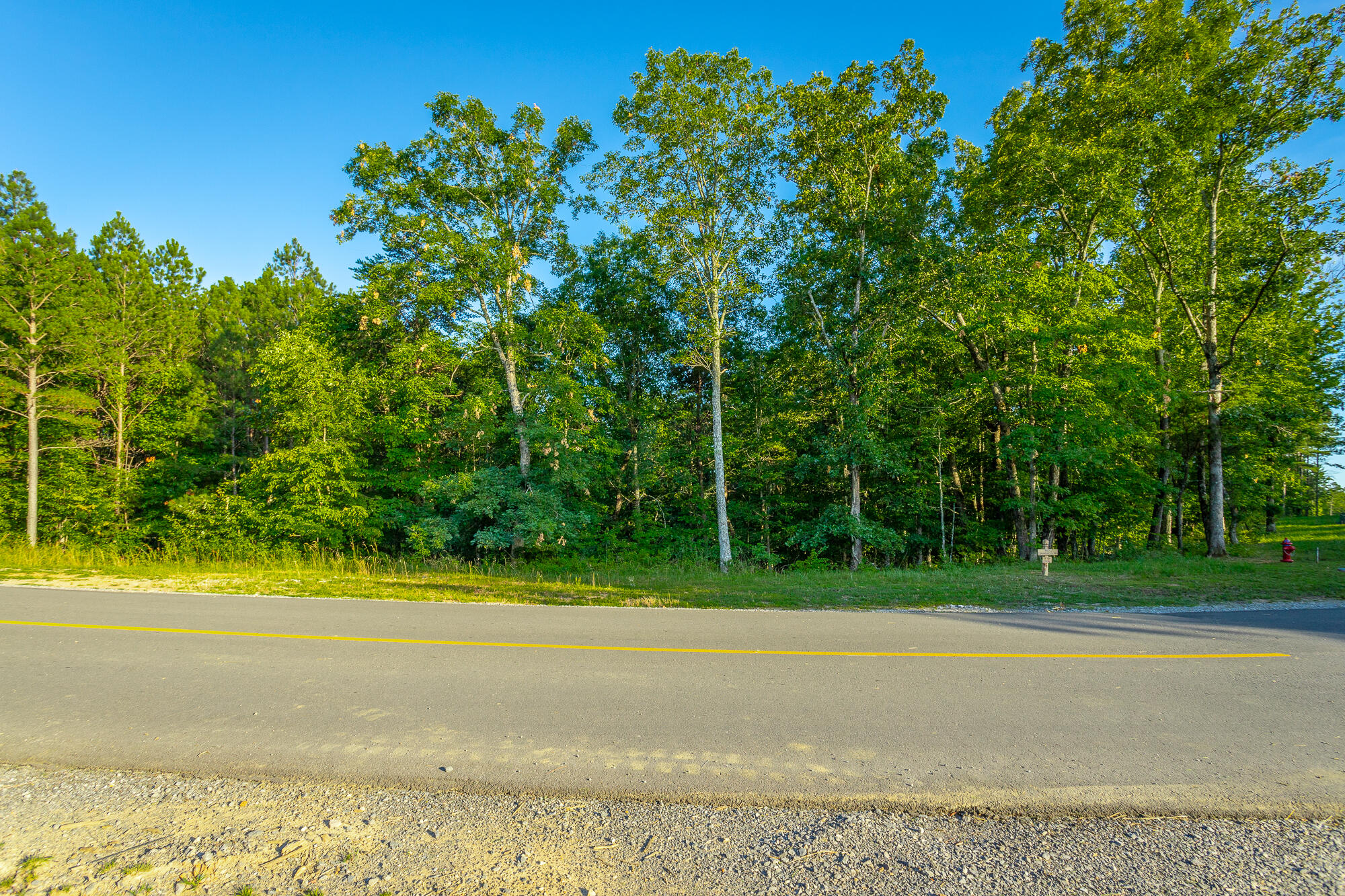 0 Moonlight Lane, Unit JF426 Jasper, TN 37347 - Photo 48 of 98 0 Moonlight Lane, Lot JF426 HD-47