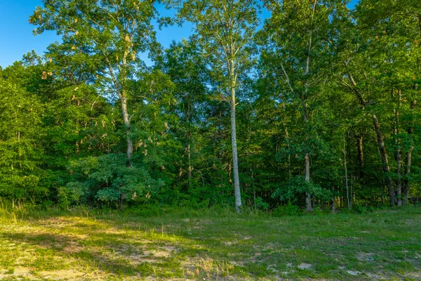 $85,000 | 0 Moonlight Lane, Unit JF426, Jasper, TN 37347