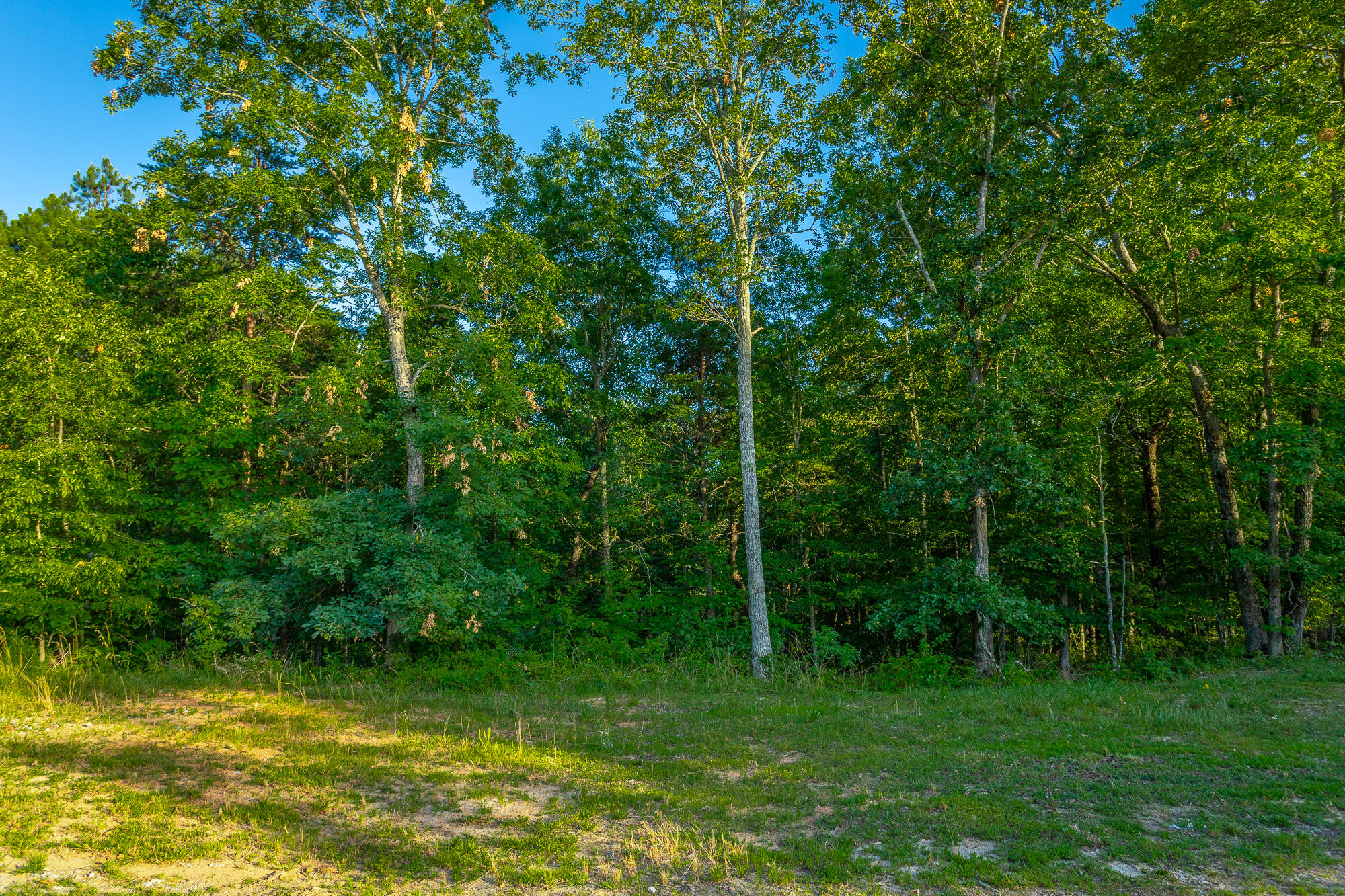 0 Moonlight Lane, Unit JF426 Jasper, TN 37347 - Photo 50 of 98 0 Moonlight Lane, Lot JF426 HD-49