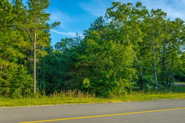 $85,000 | 0 Moonlight Lane, Unit JF426, Jasper, TN 37347