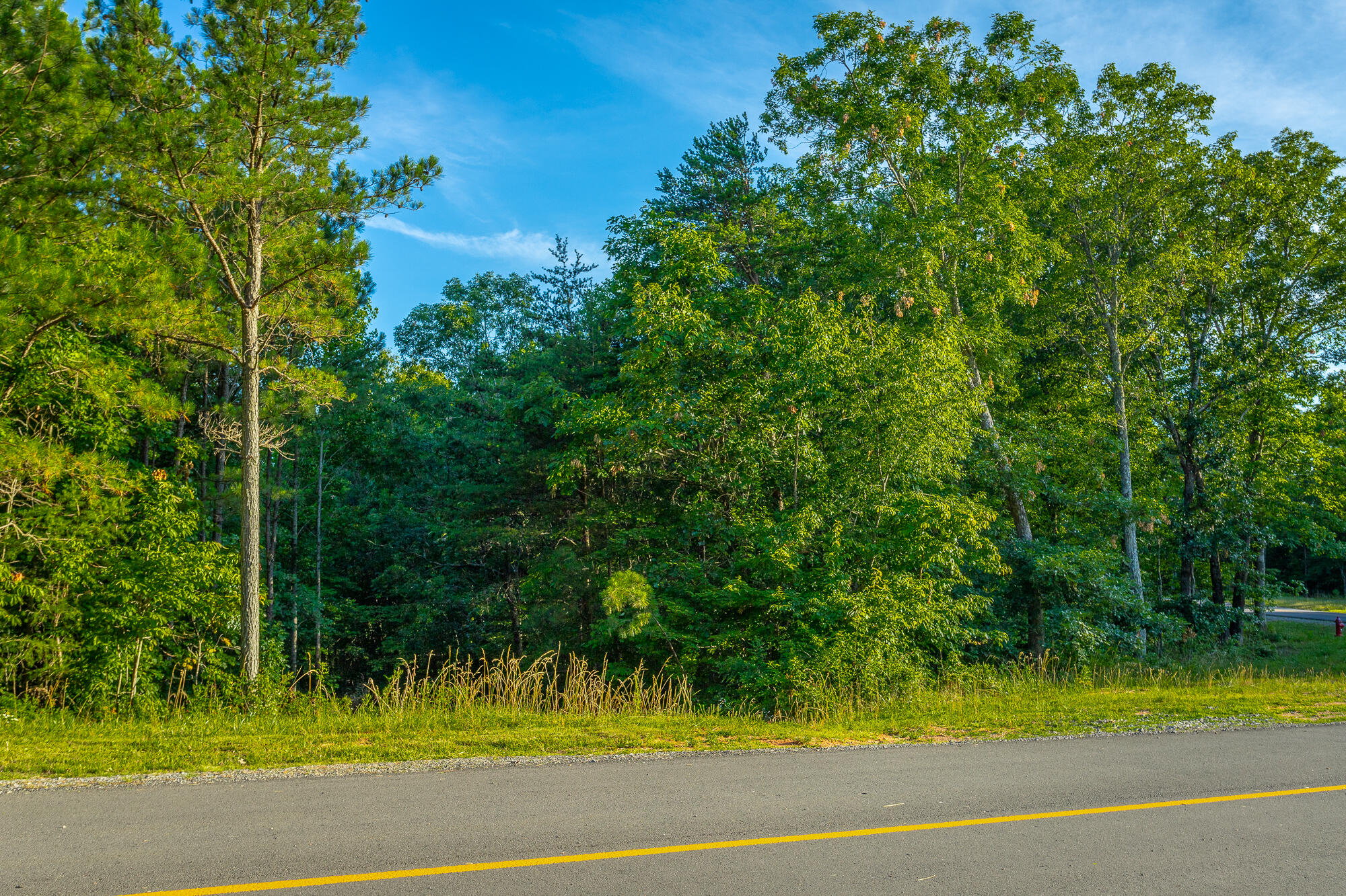 0 Moonlight Lane, Unit JF426 Jasper, TN 37347 - Photo 52 of 98 0 Moonlight Lane, Lot JF426 HD-51