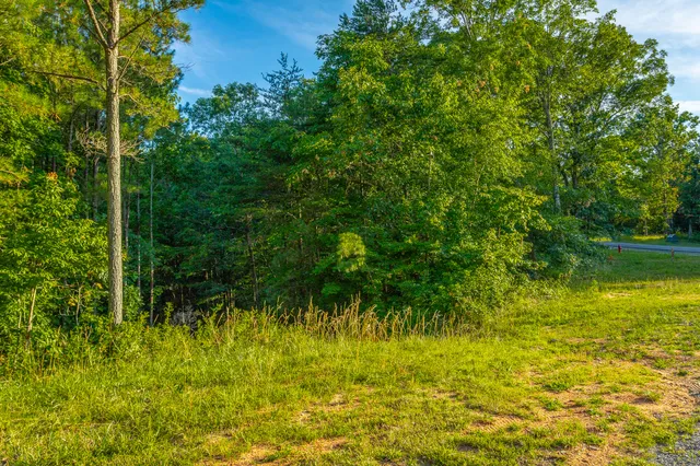 $85,000 | 0 Moonlight Lane, Unit JF426, Jasper, TN 37347