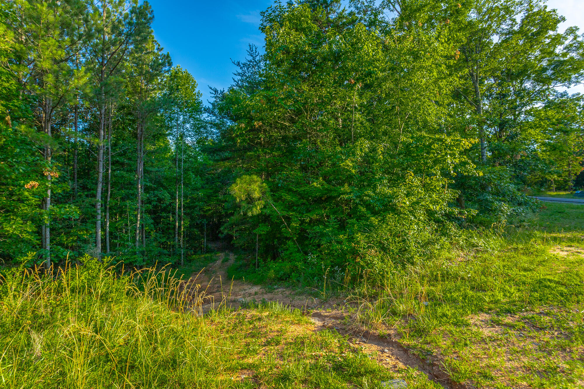 0 Moonlight Lane, Unit JF426 Jasper, TN 37347 - Photo 55 of 98 0 Moonlight Lane, Lot JF426 HD-54