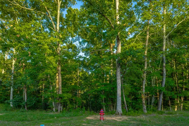 $85,000 | 0 Moonlight Lane, Unit JF426, Jasper, TN 37347