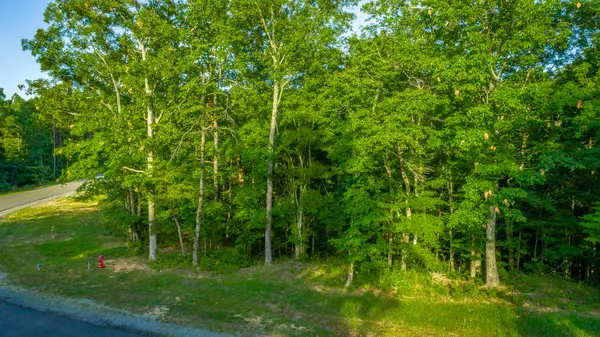 $85,000 | 0 Moonlight Lane, Unit JF426, Jasper, TN 37347