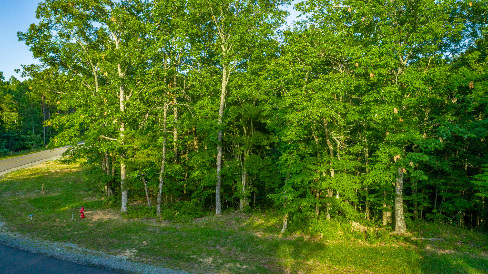 0 Moonlight Lane, Unit JF426 Jasper, TN 37347 - Photo 6 of 98 0 Moonlight Lane, Lot JF426 HD-5