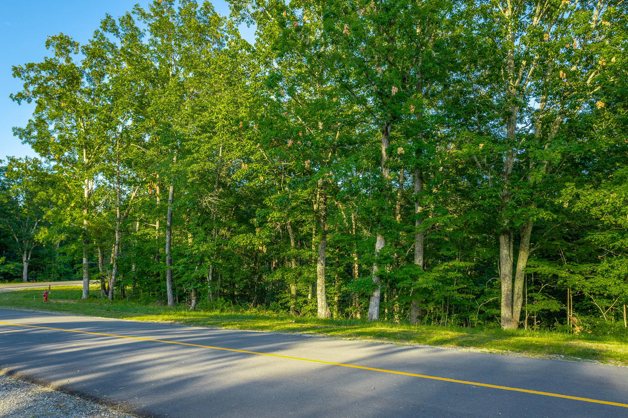 0 Moonlight Lane, Unit JF426 Jasper, TN 37347 - Photo 62 of 98 0 Moonlight Lane, Lot JF426 HD-61