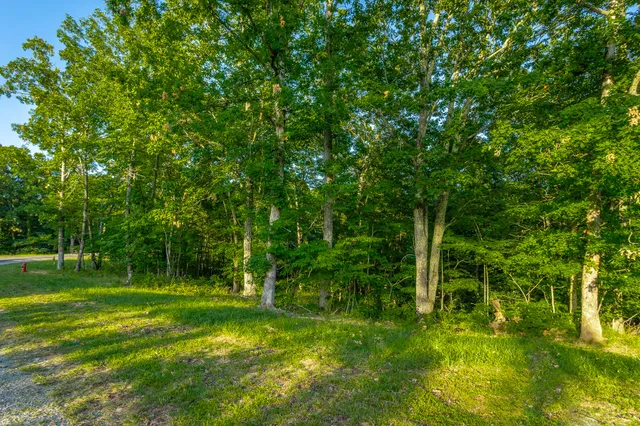 $85,000 | 0 Moonlight Lane, Unit JF426, Jasper, TN 37347