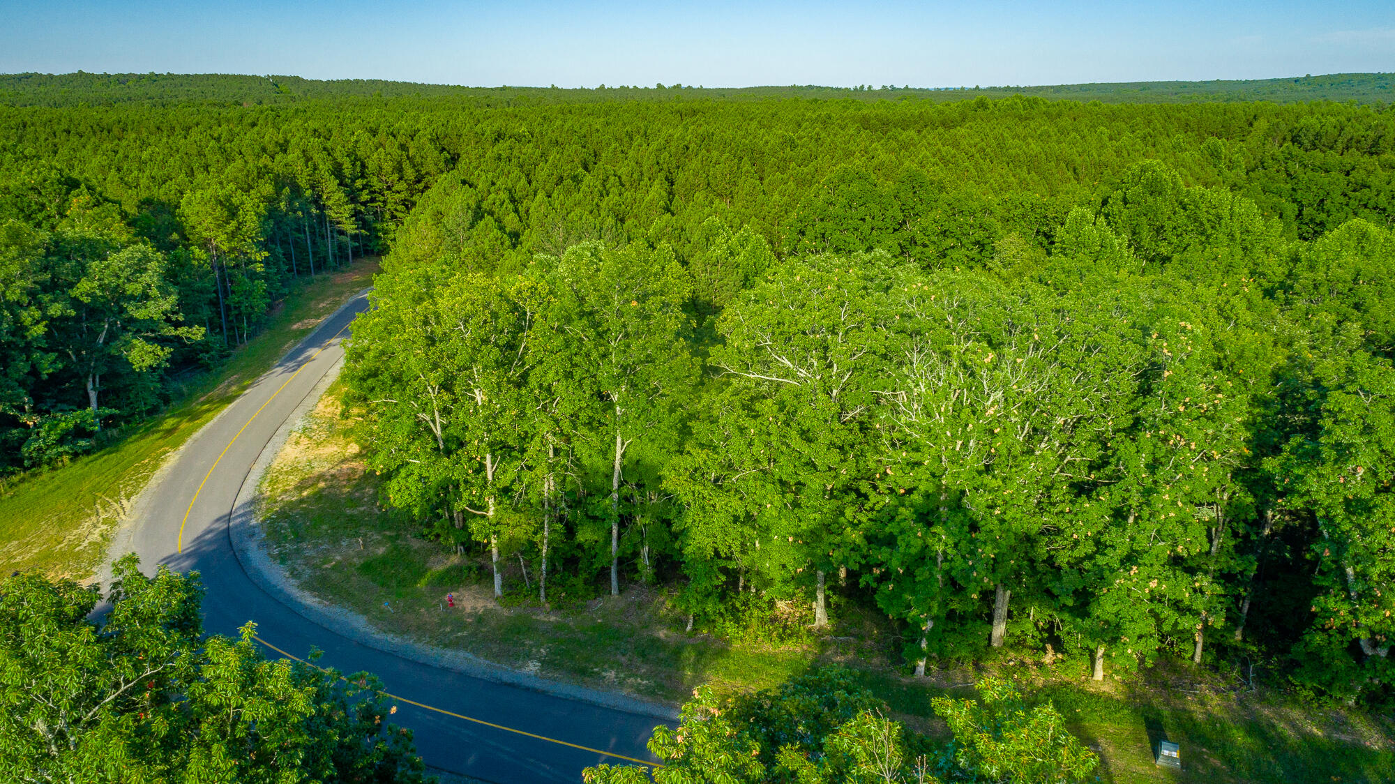 0 Moonlight Lane, Unit JF426 Jasper, TN 37347 - Photo 10 of 98 0 Moonlight Lane, Lot JF426 HD-9