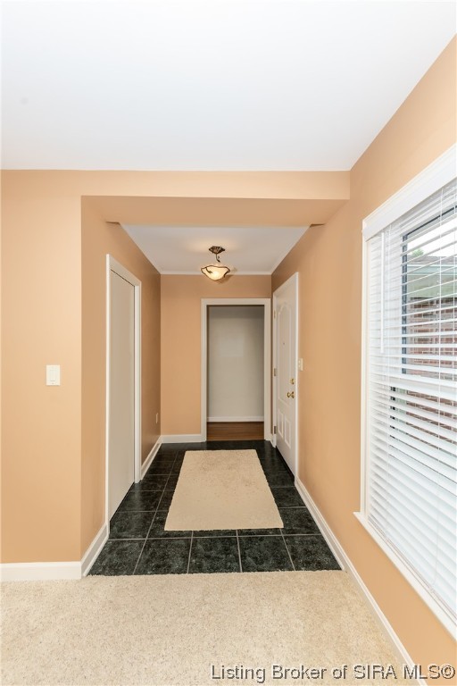 109 Tristan Road Louisville, KY 40222 - Photo 52 of 69