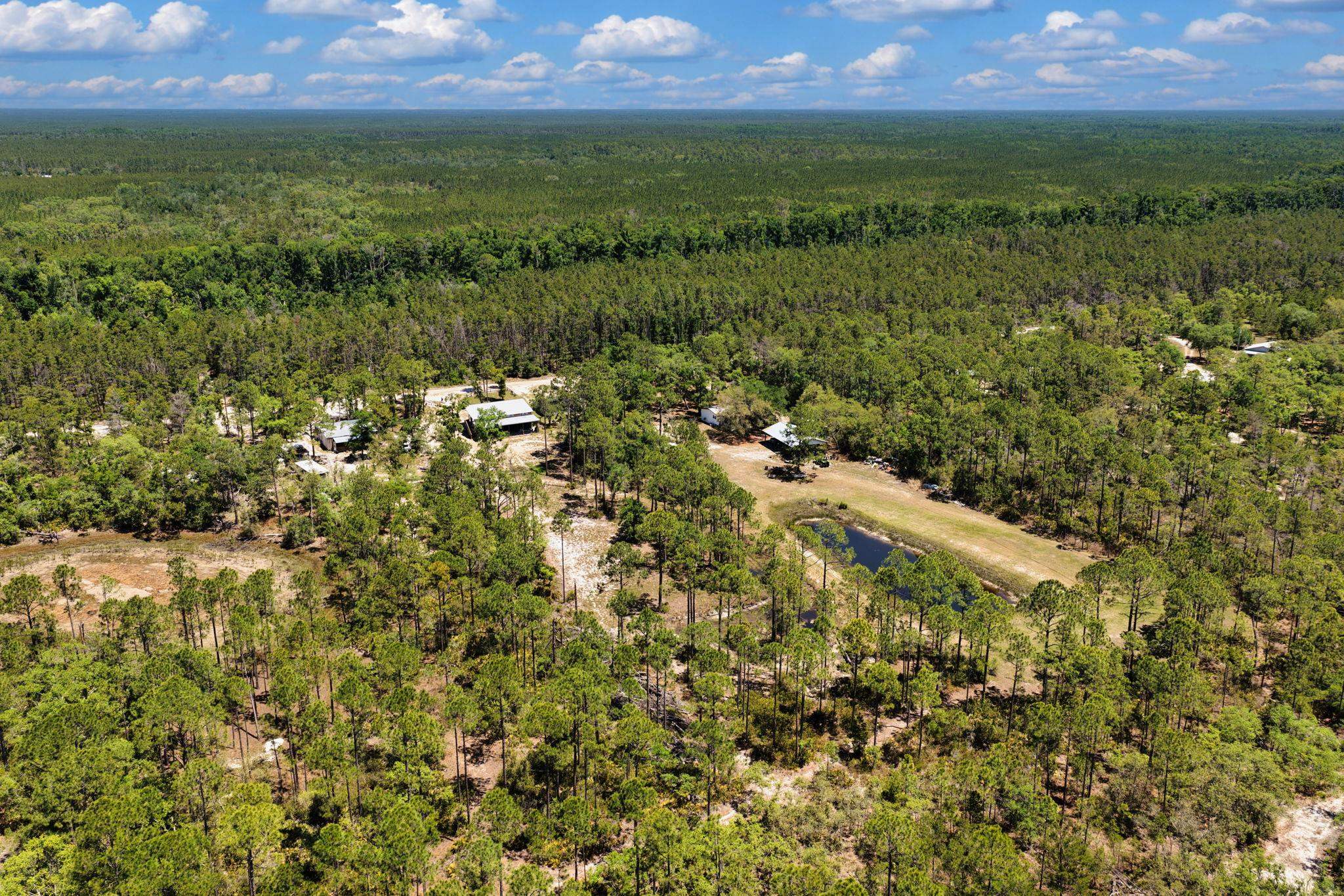 2151 Politic Road Perry, FL 32348 - Photo 45 of 53