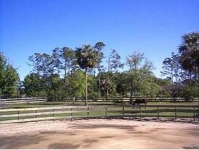 4225 Bobbie Malabar, FL 32950 - Photo 2 of 5 a view of a yard