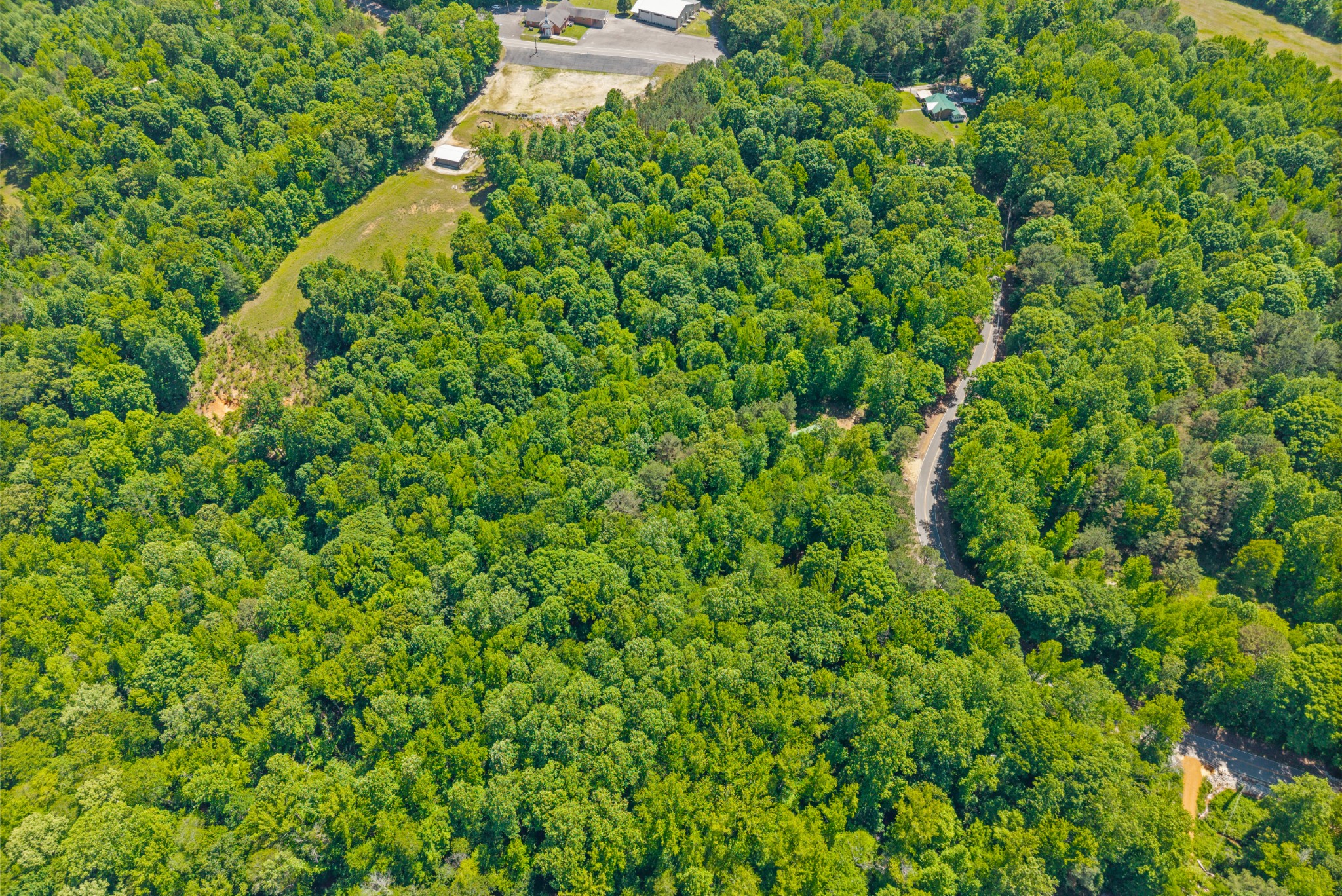 1530 Spring Hill Road Paris, TN 38242 - Photo 13 of 20