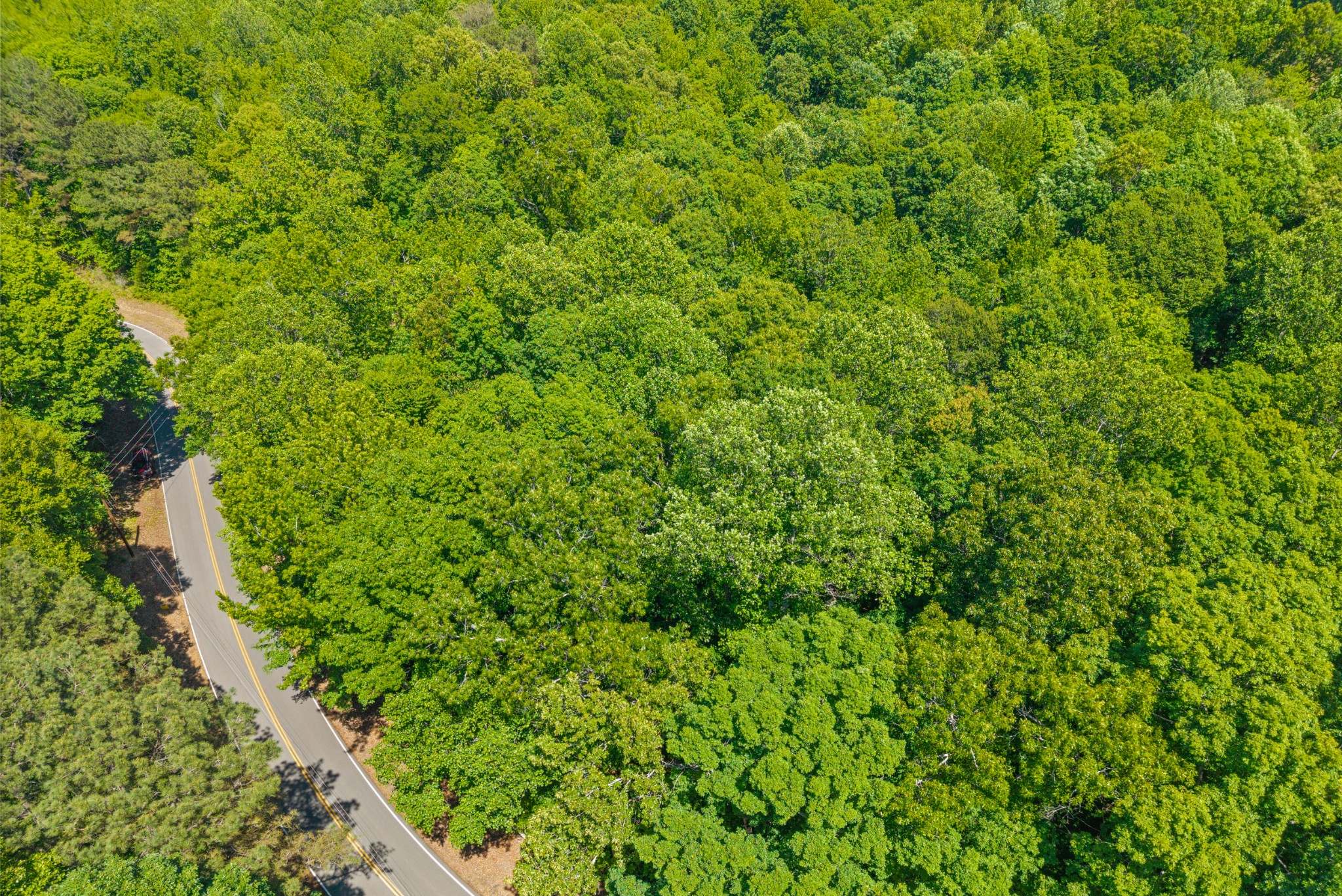 1530 Spring Hill Road Paris, TN 38242 - Photo 16 of 20