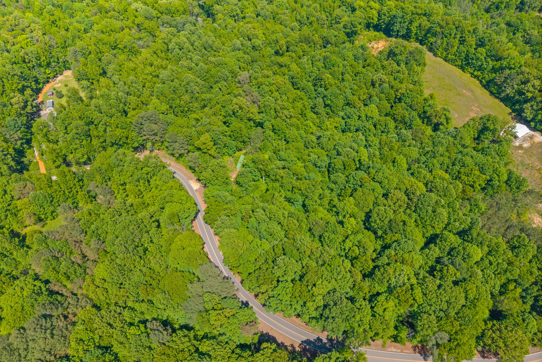 1530 Spring Hill Road Paris, TN 38242 - Photo 17 of 20