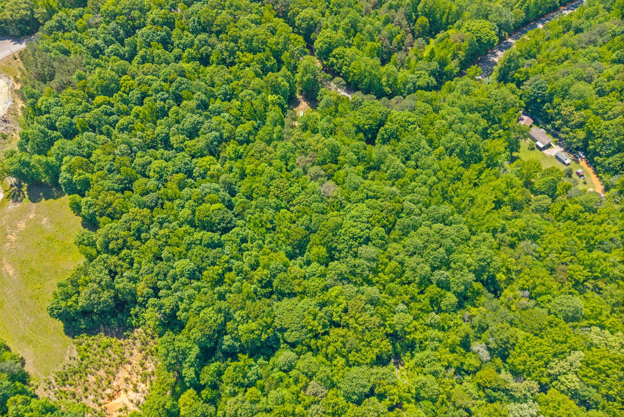 1530 Spring Hill Road Paris, TN 38242 - Photo 18 of 20