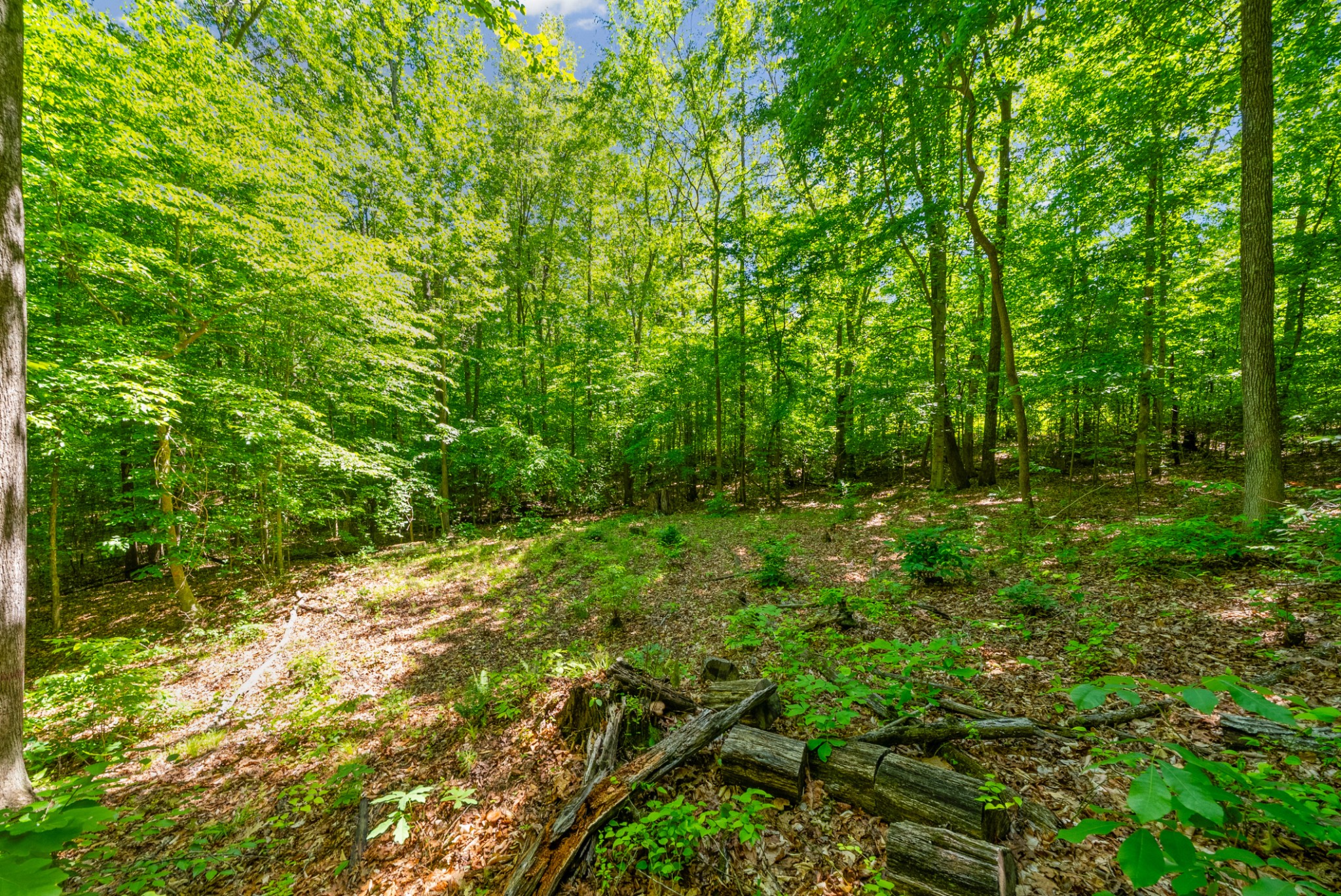 1530 Spring Hill Road Paris, TN 38242 - Photo 10 of 20