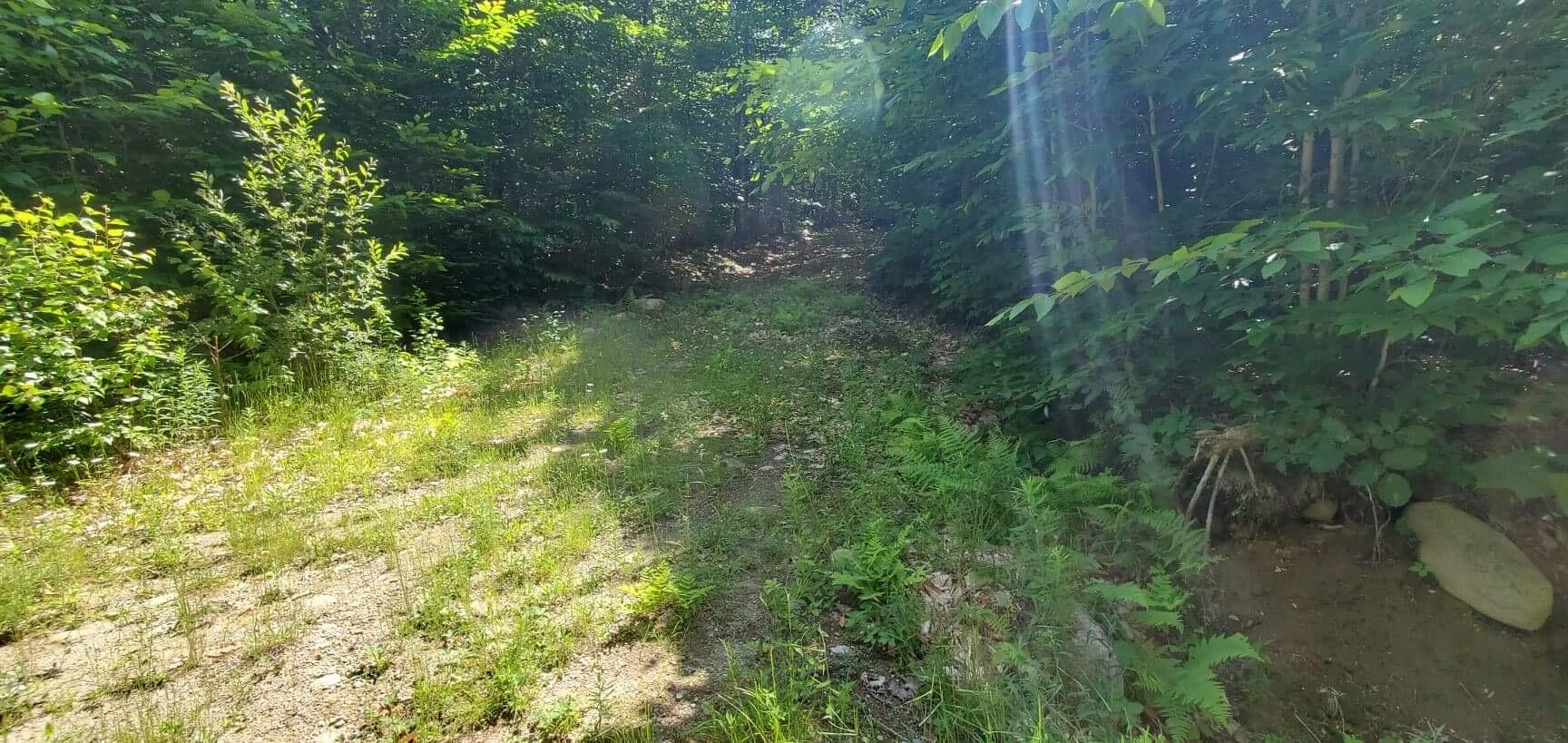 Lot 32 North Look Road New Vineyard, ME 04956 - Photo 11 of 11 667AD1AF-A719-46CE-BF54-70EA456557B0