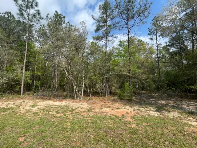 a view of outdoor space with trees all around