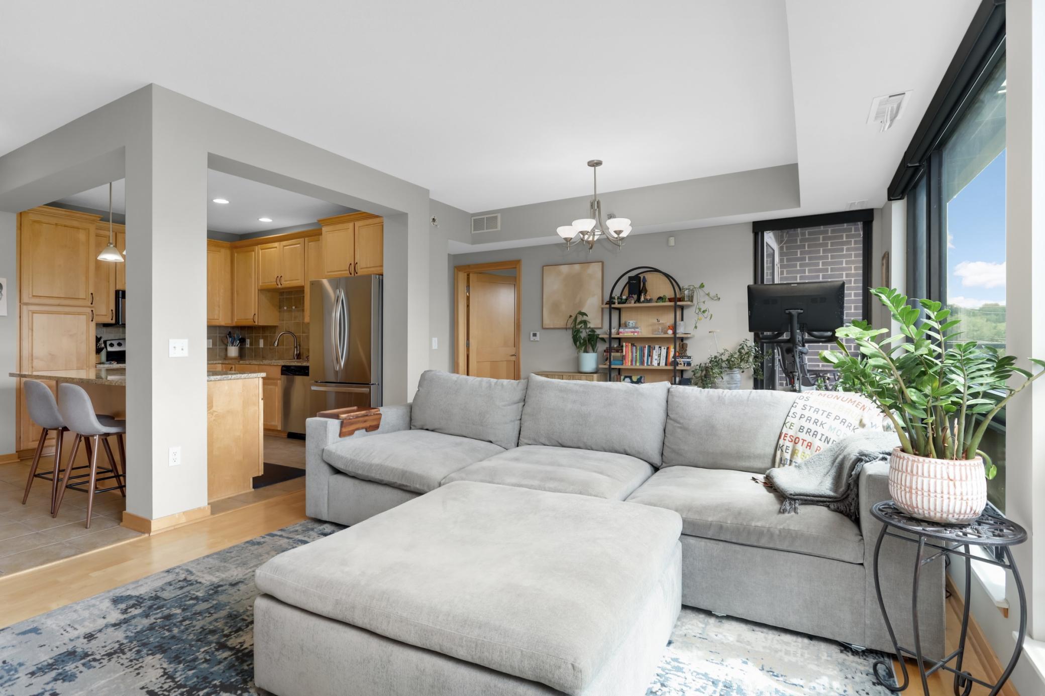 284 Spring Street, Unit 307 St. Paul, MN 55102 - Photo 5 of 25 Gallery Image 5