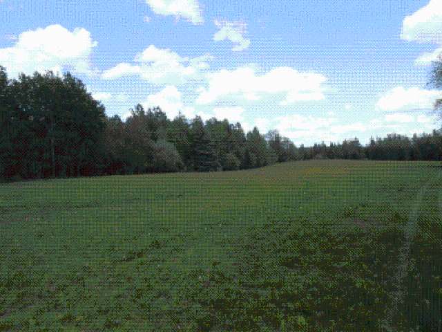 W8091 Seifert Road Fifield, WI 54524 - Photo 10 of 20 Gallery Image 10