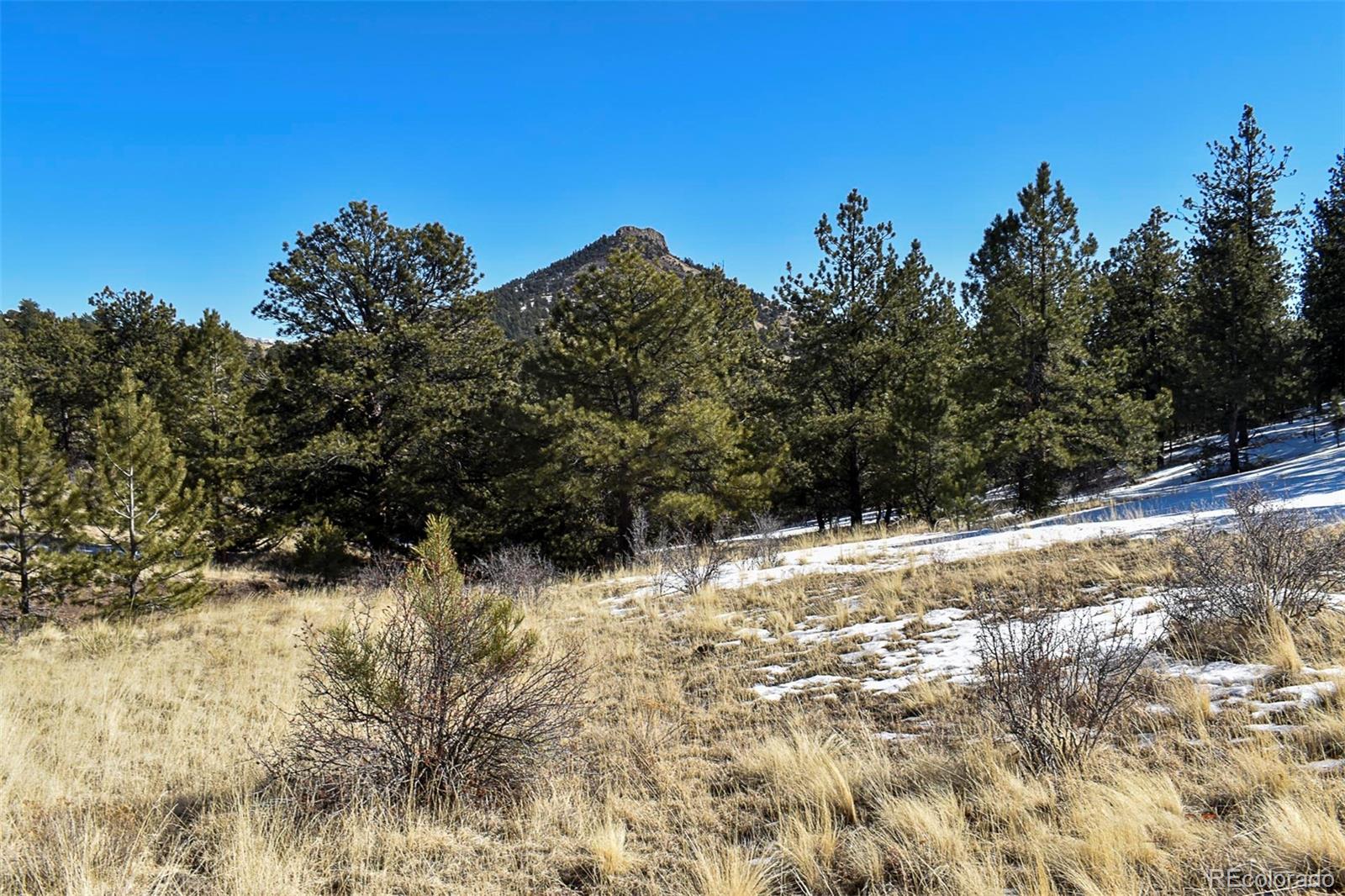 30 Wagonwheel Road Guffey, CO 80820 - Photo 1 of 26 Gallery Image 1