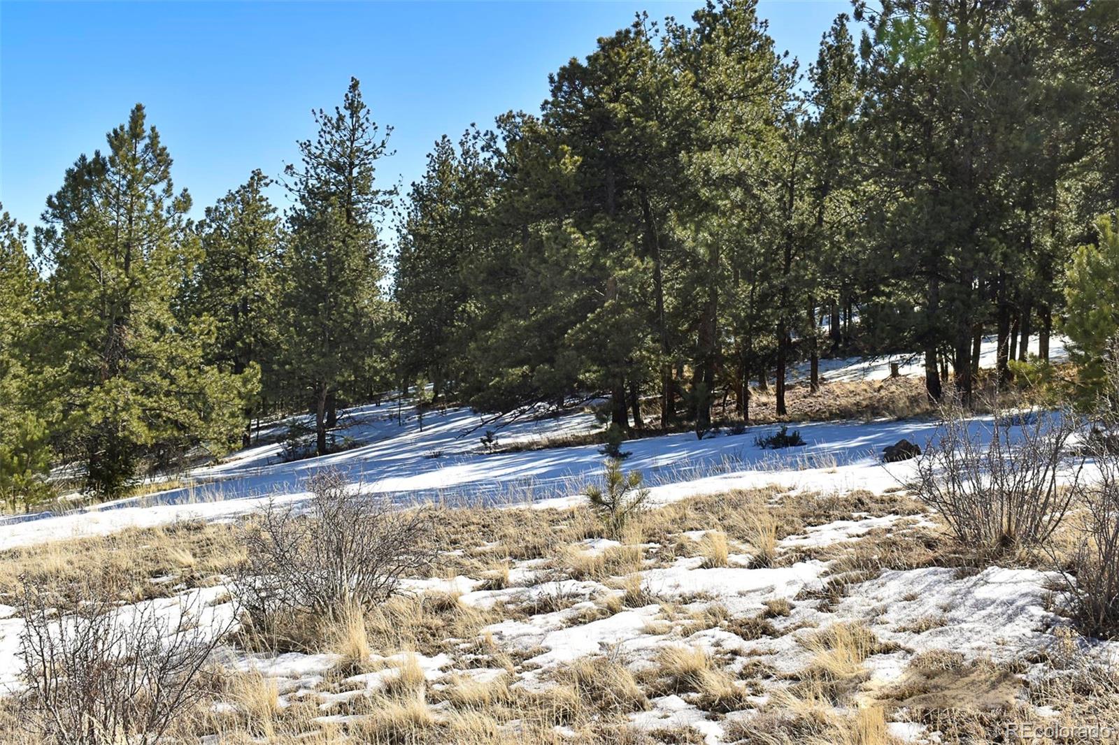 30 Wagonwheel Road Guffey, CO 80820 - Photo 11 of 26 Gallery Image 11