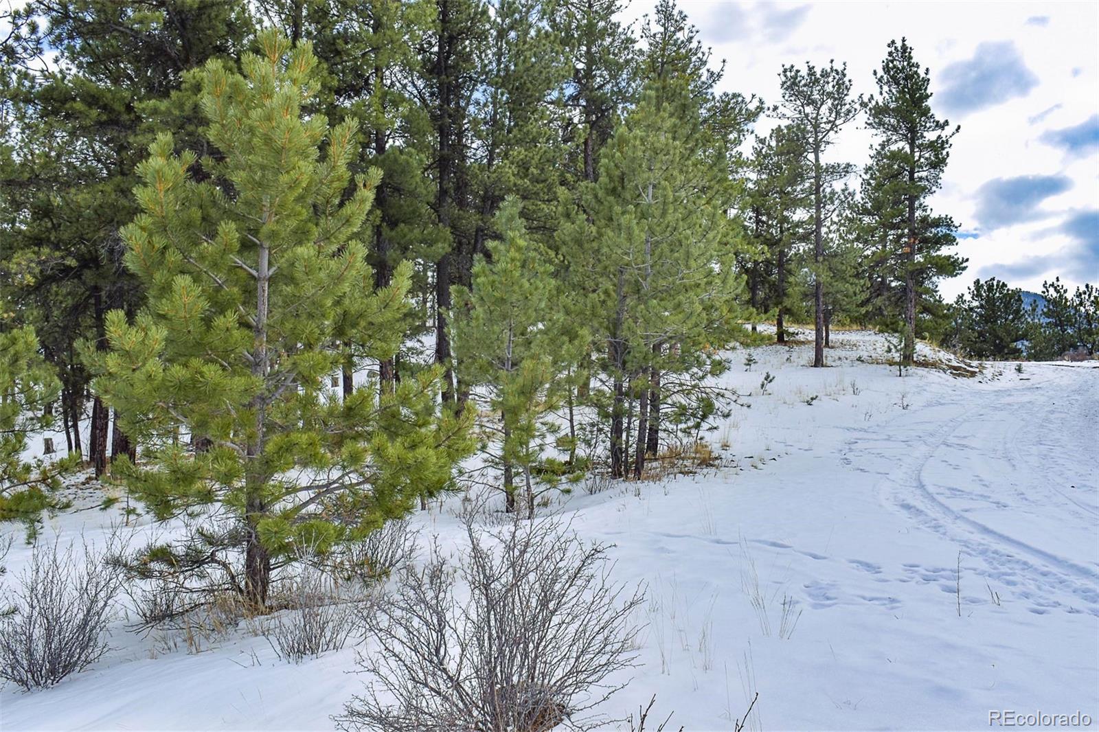 30 Wagonwheel Road Guffey, CO 80820 - Photo 13 of 26 Gallery Image 13
