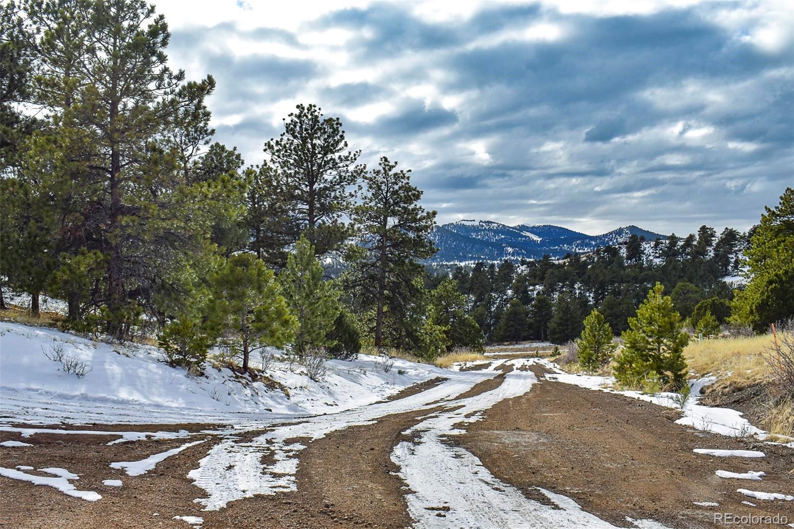 30 Wagonwheel Road Guffey, CO 80820 - Photo 14 of 26 Gallery Image 14