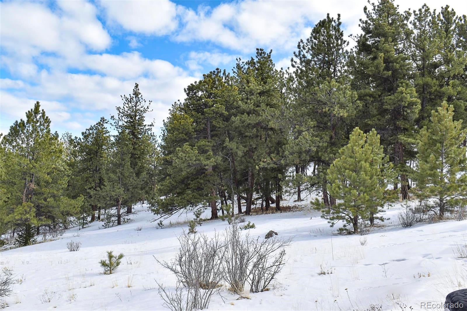 30 Wagonwheel Road Guffey, CO 80820 - Photo 15 of 26 Gallery Image 15