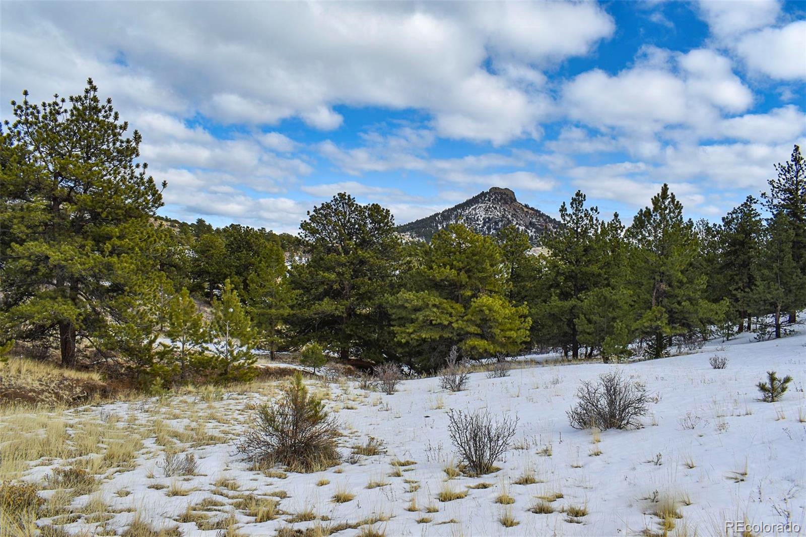 30 Wagonwheel Road Guffey, CO 80820 - Photo 16 of 26 Gallery Image 16