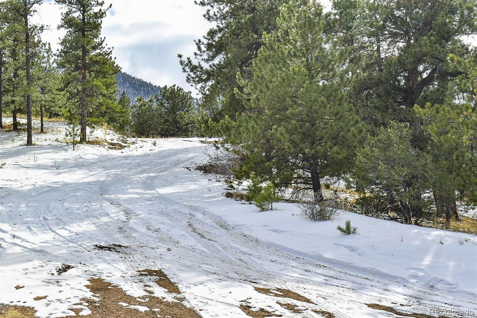 30 Wagonwheel Road Guffey, CO 80820 - Photo 17 of 26 Gallery Image 17