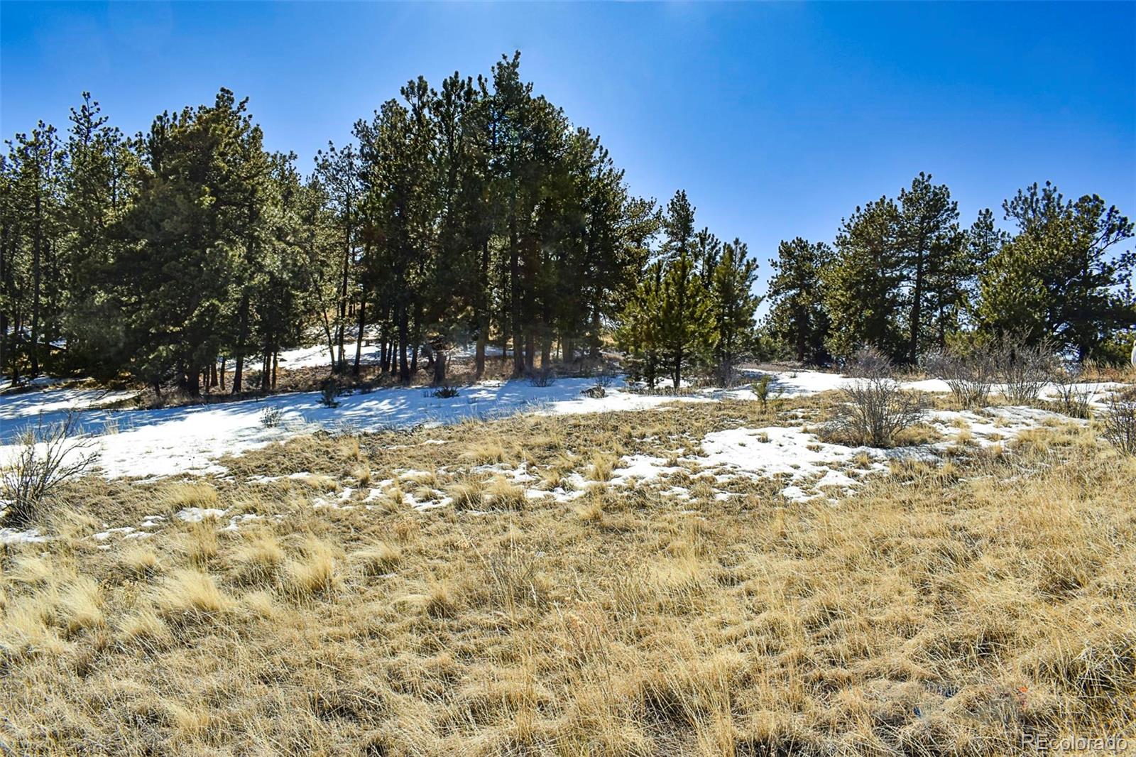 30 Wagonwheel Road Guffey, CO 80820 - Photo 19 of 26 Gallery Image 19