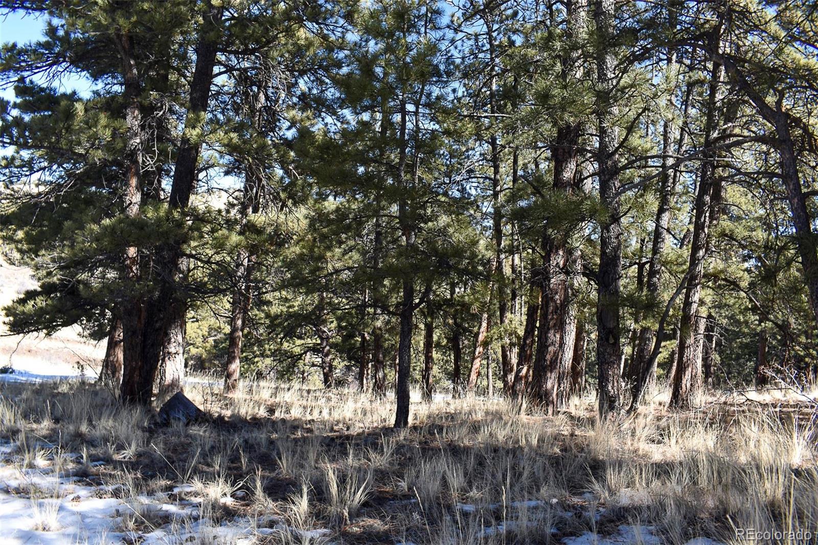 30 Wagonwheel Road Guffey, CO 80820 - Photo 20 of 26 Gallery Image 20