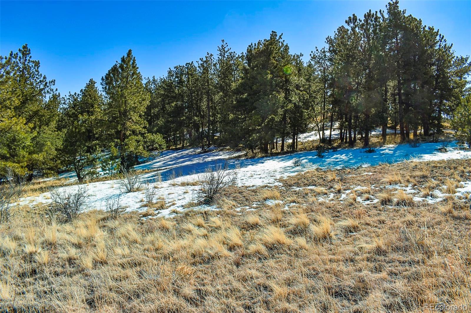 30 Wagonwheel Road Guffey, CO 80820 - Photo 21 of 26 Gallery Image 21