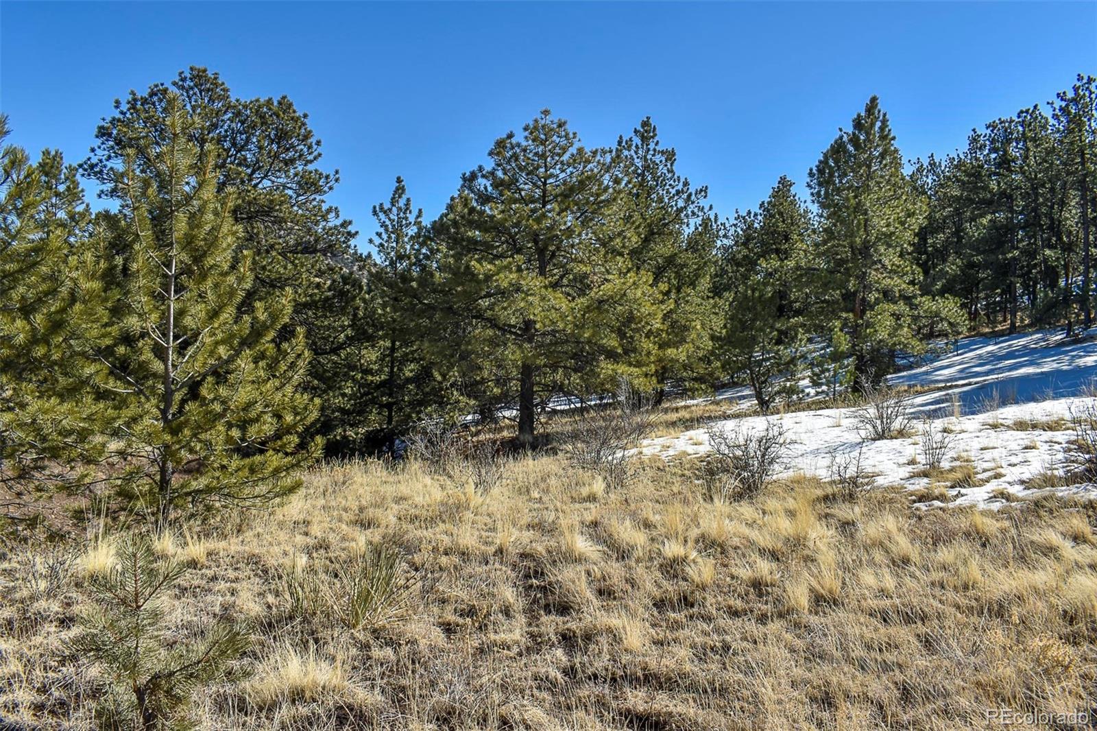 30 Wagonwheel Road Guffey, CO 80820 - Photo 22 of 26 Gallery Image 22